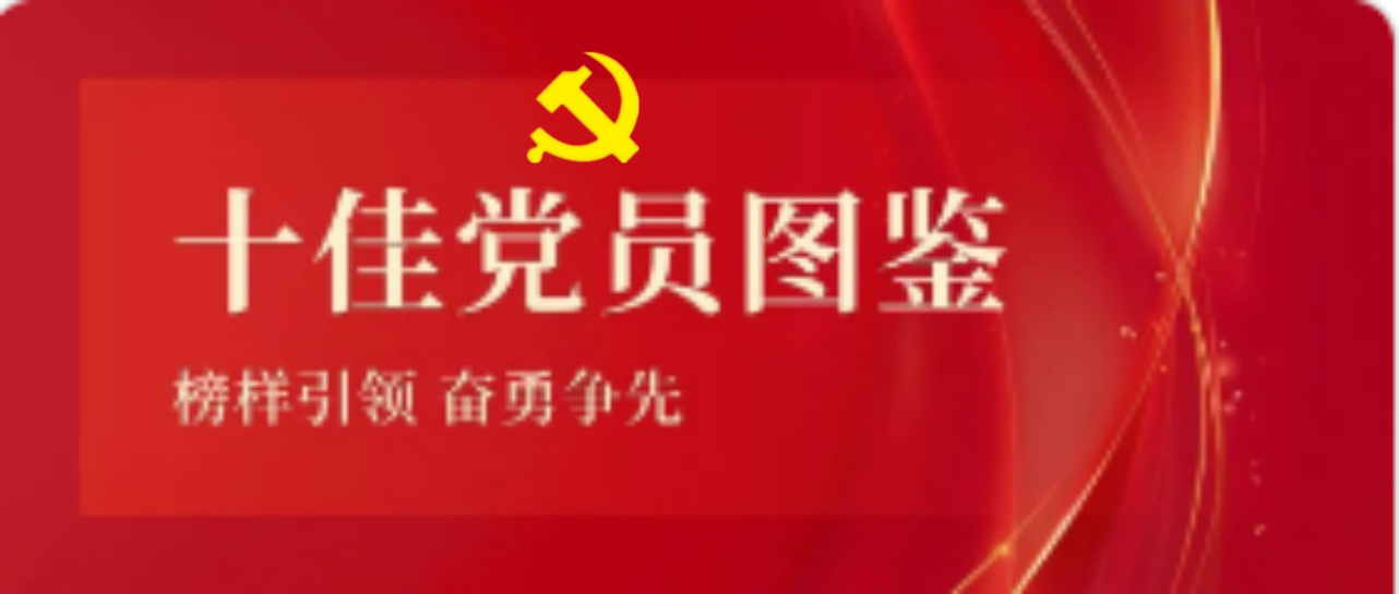 海南海豚之星2023-2024年度十佳共产党员图鉴